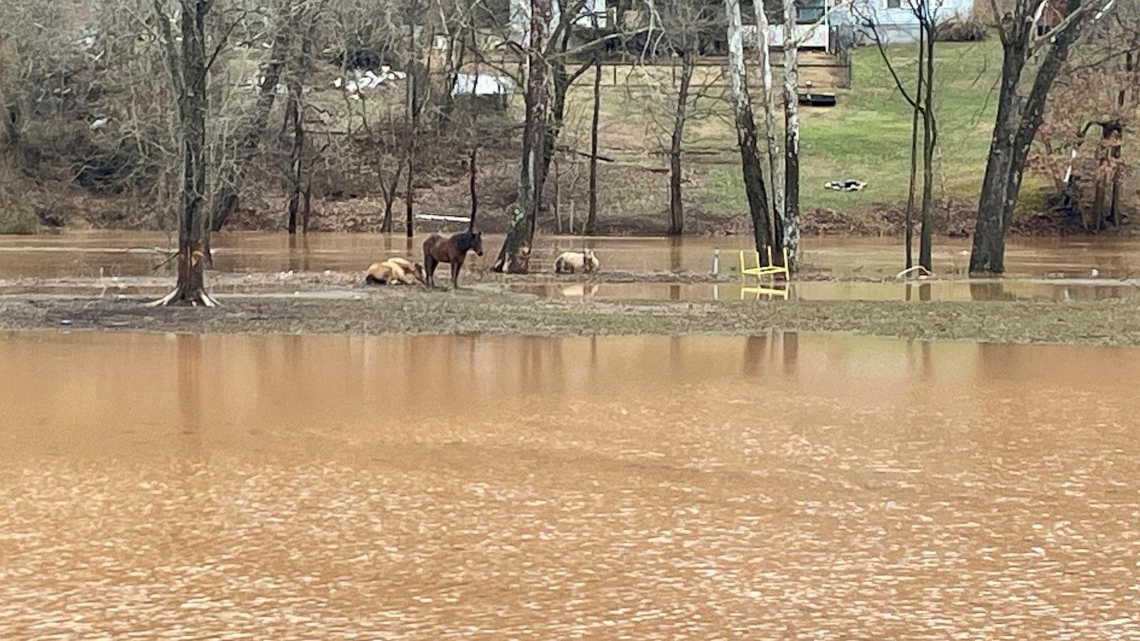 Winter storms bring flooding and ‘thunder ice’ in several US states